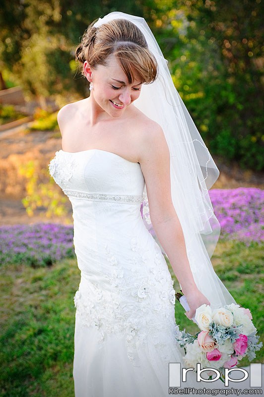 portrait and wedding photography